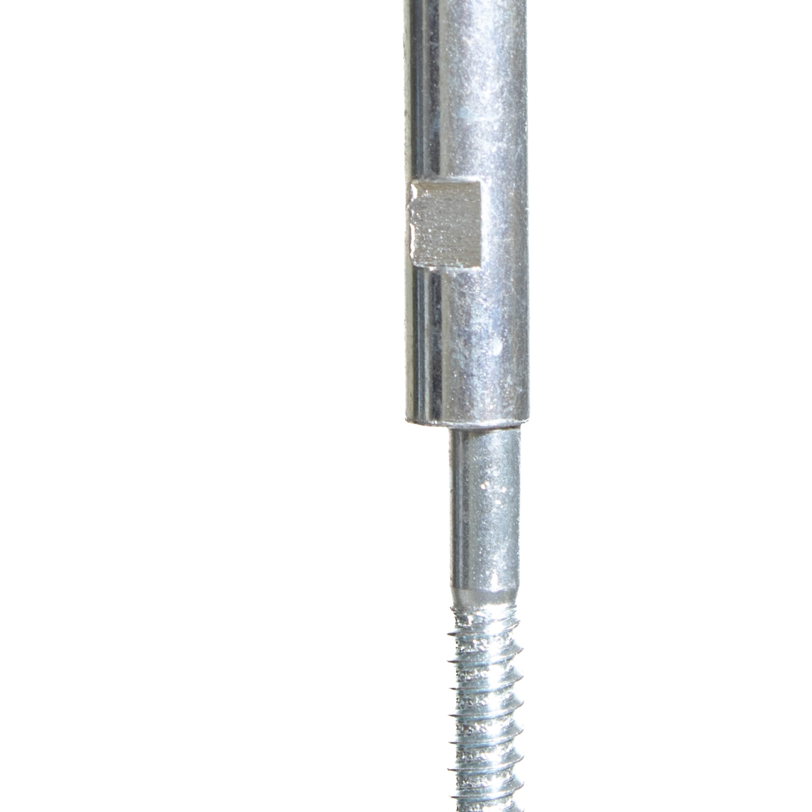 Schweberegal EICHE