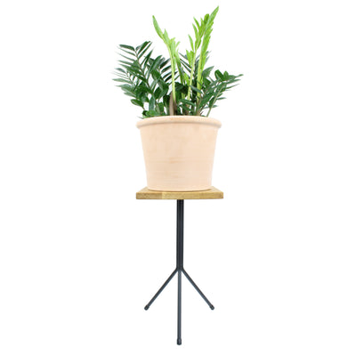 Table frame TRIPOD